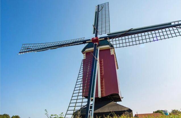 Huisje Vogelenzang Zeeland Sint Annaland Eksteriør billede