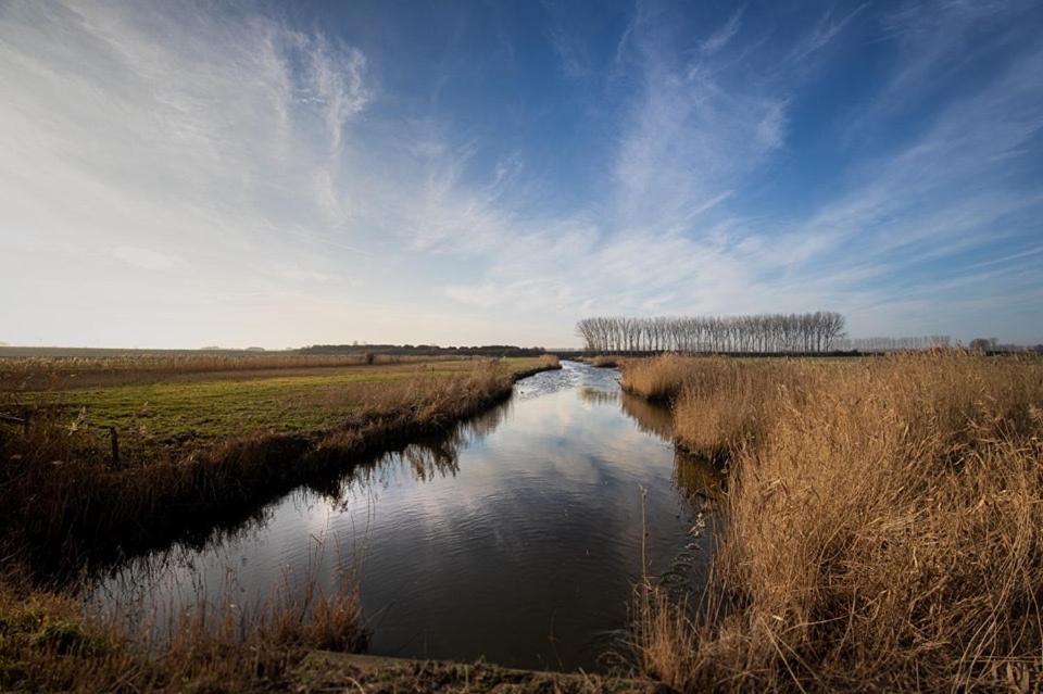 Huisje Vogelenzang Zeeland Sint Annaland Eksteriør billede
